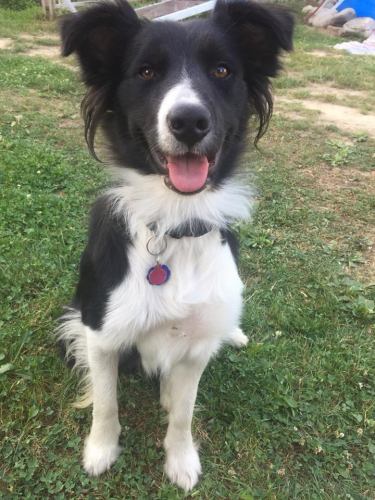 smile august 2018